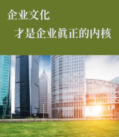 短视频内容创作与品牌IP打造一体化服务模式详解