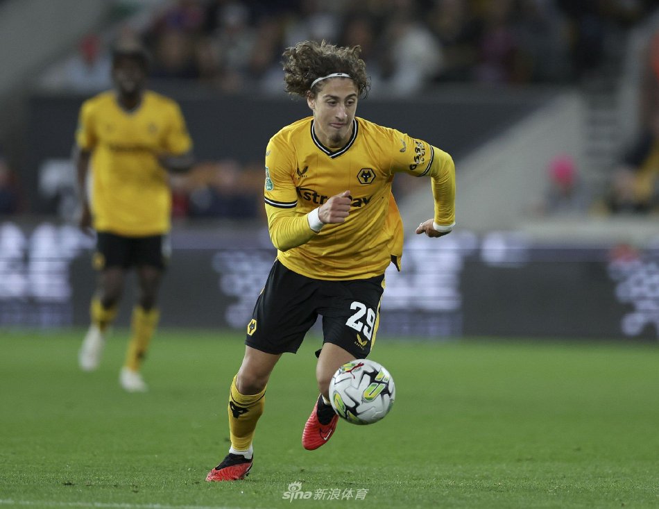 禀的罗马尼 禀的罗马尼