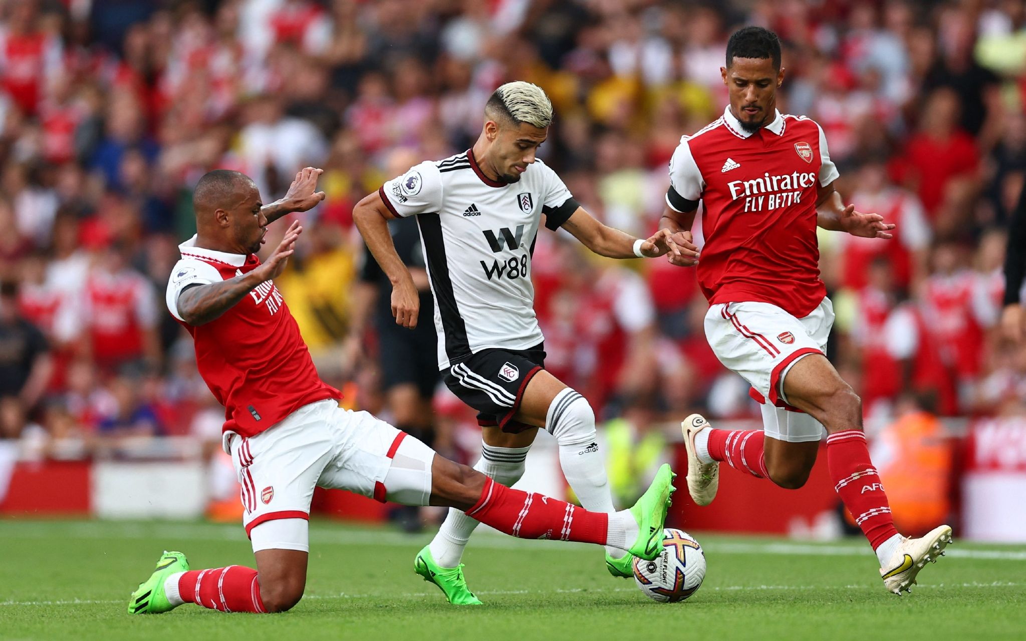 也打击了卢 也打击了卢